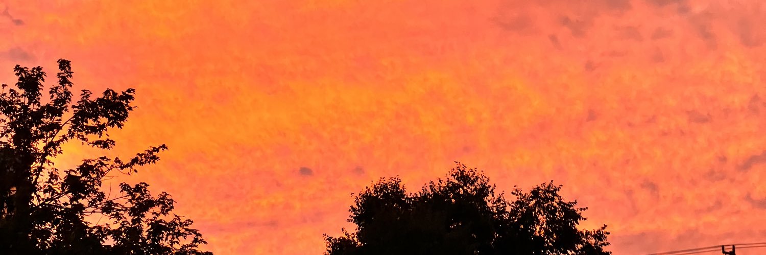 gldnsunset's profile banner image