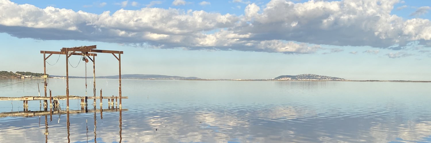 dmsjulieta's profile banner image