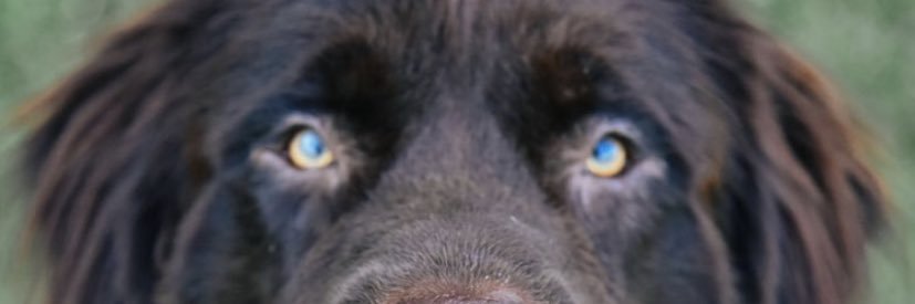 huffman_libby's profile banner image
