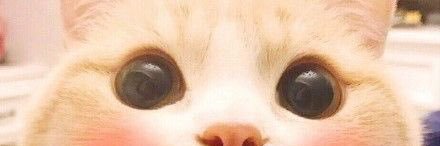 ffernsrpk's profile banner image