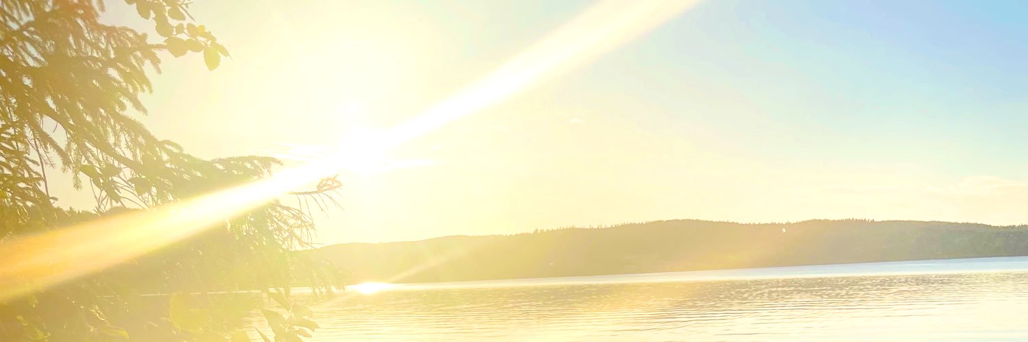 Eleaver's profile banner image