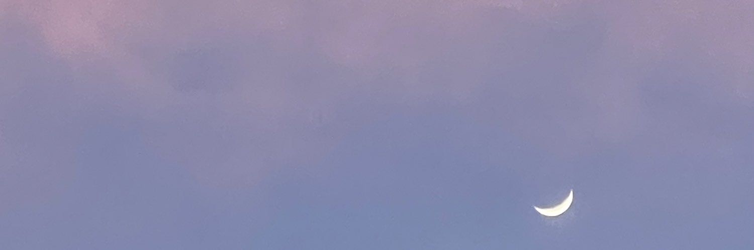 otake_tottoko's profile banner image