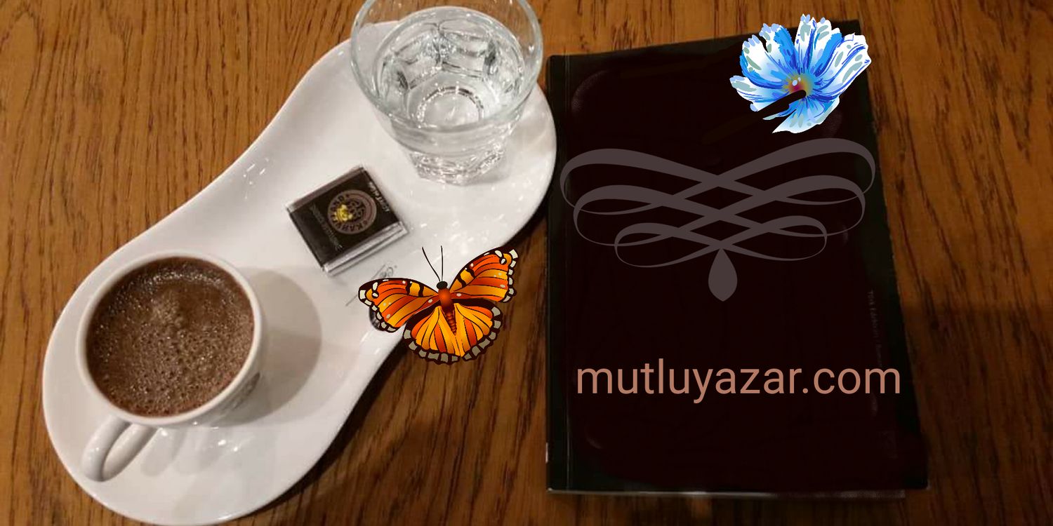 sezersadet's profile banner image