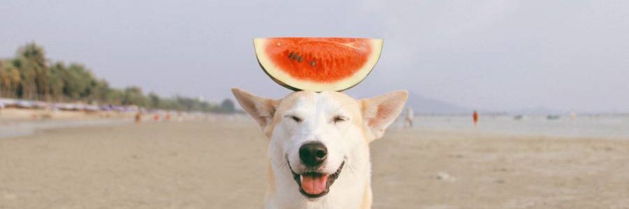 RUFMOUS's profile banner image