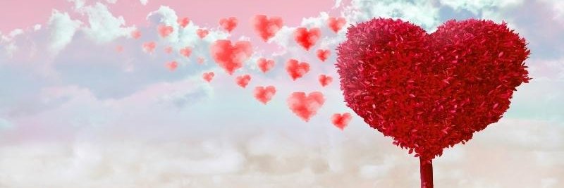 LilyMe4u's profile banner image