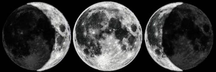 okamiwitch's profile banner image
