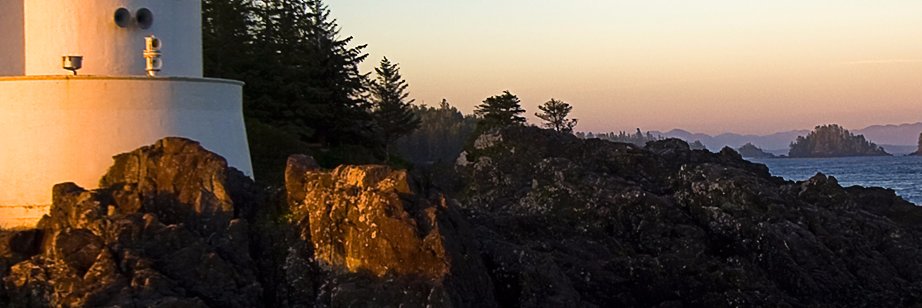 n42056817's profile banner image