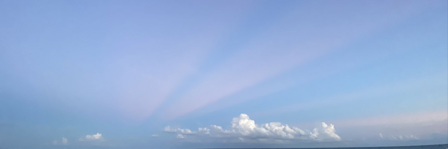 dianab____'s profile banner image