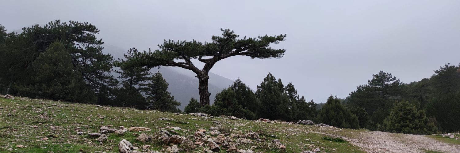 burcucanitezz's profile banner image