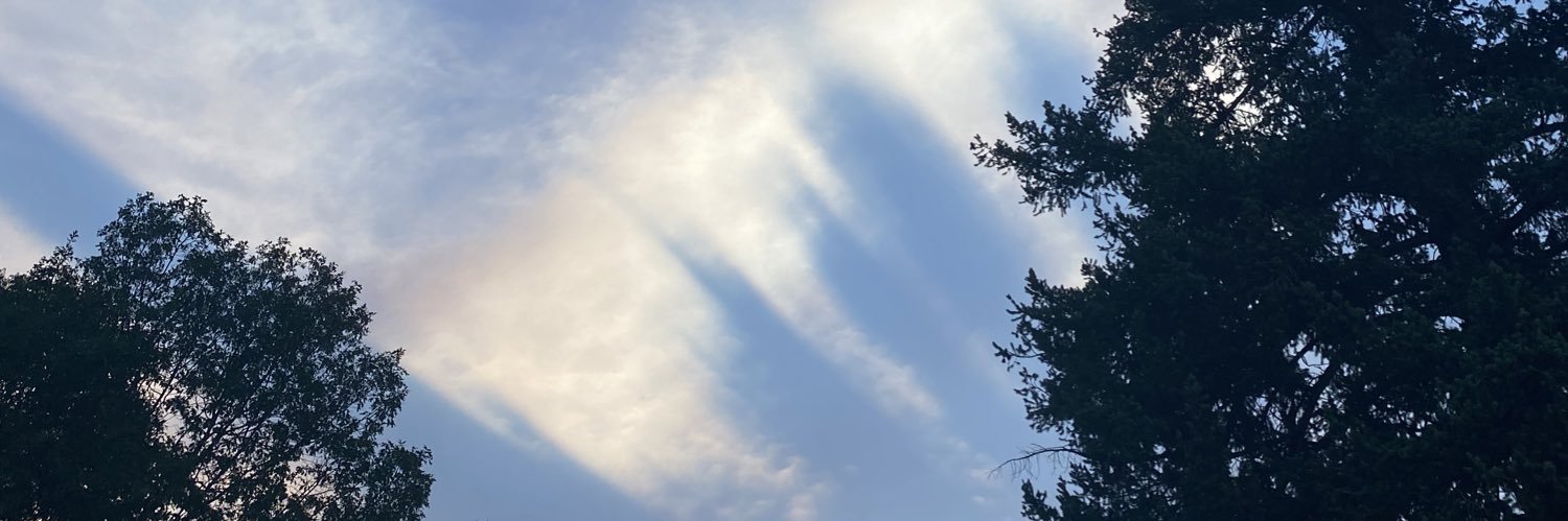 birddoggart's profile banner image