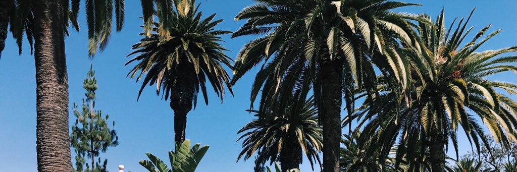 haleyR5's profile banner image