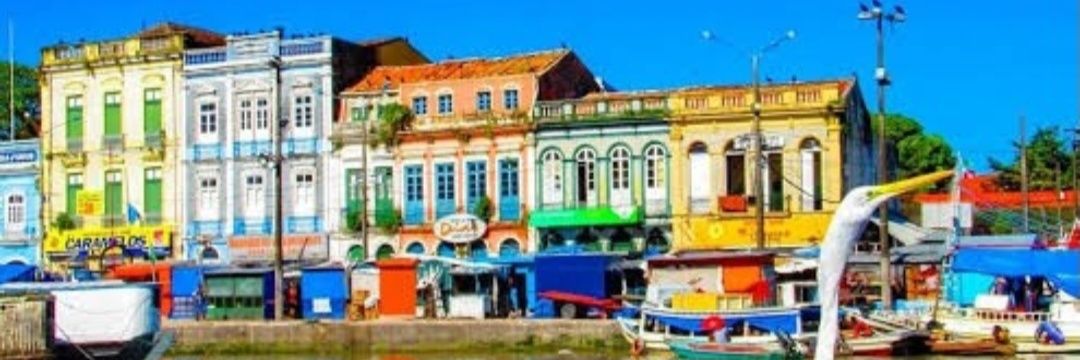 David Miranda banner