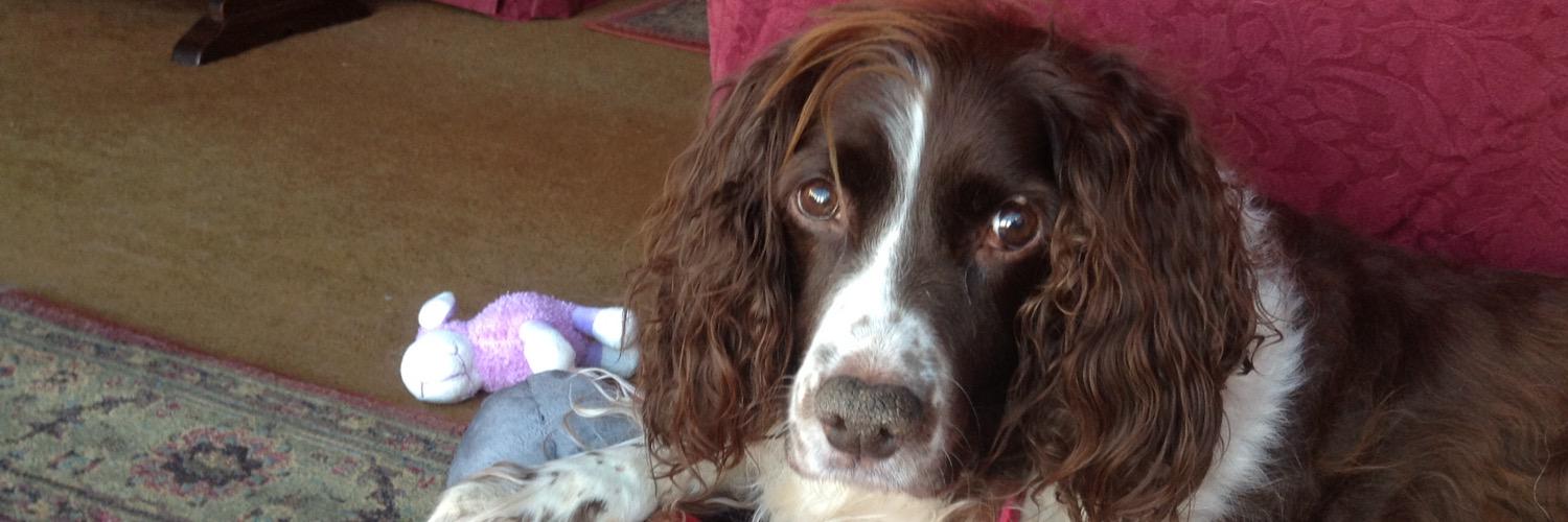 Grantly Wheeler banner