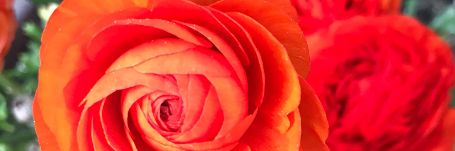 cmfossett's profile banner image