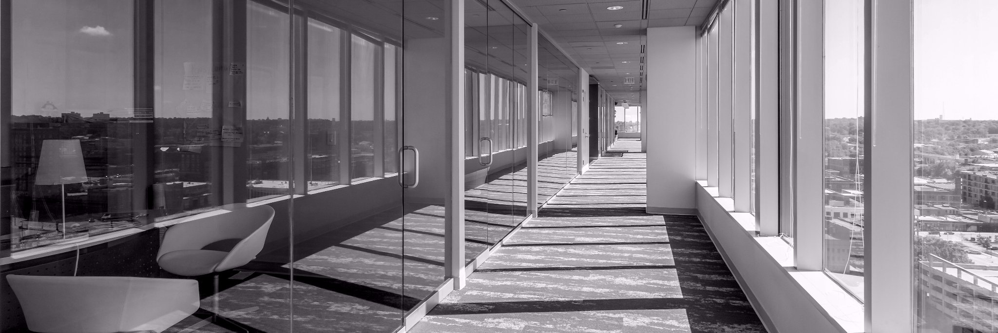 Bailey Lauerman banner