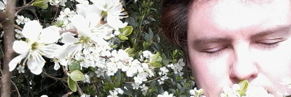 MTaplinComposer Profile Banner