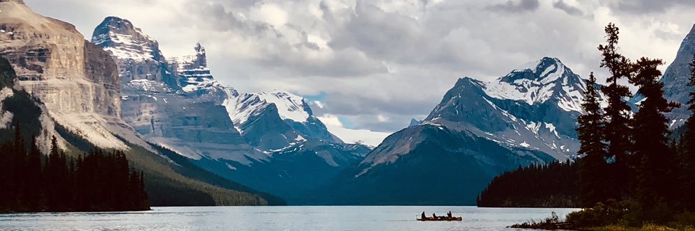 Sarah Jung, PhD, D(ABMM) banner