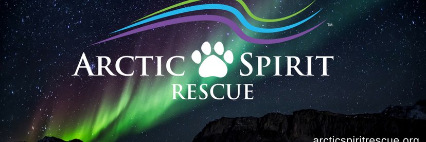 Arctic Spirit Rescue banner