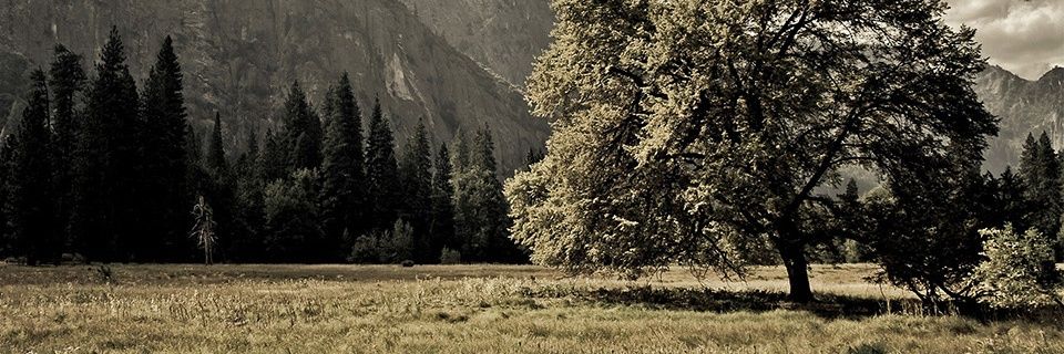 David_recio05's profile banner image