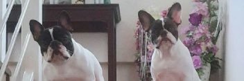 Janenymini's profile banner image