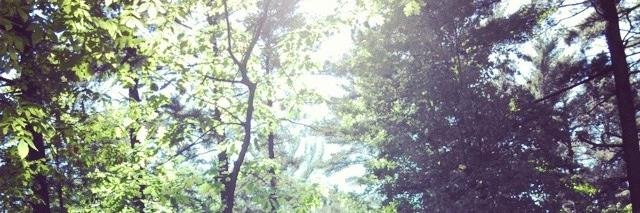 Jenn_Kempen's profile banner image