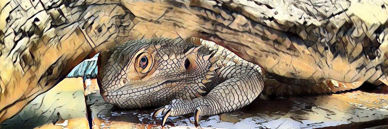 A Lizard Lady banner