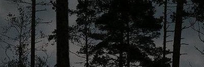 aaxx55's profile banner image