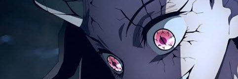 thaybonacio's profile banner image