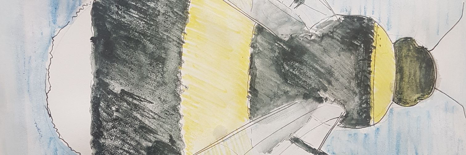 ehouldcroft's profile banner image