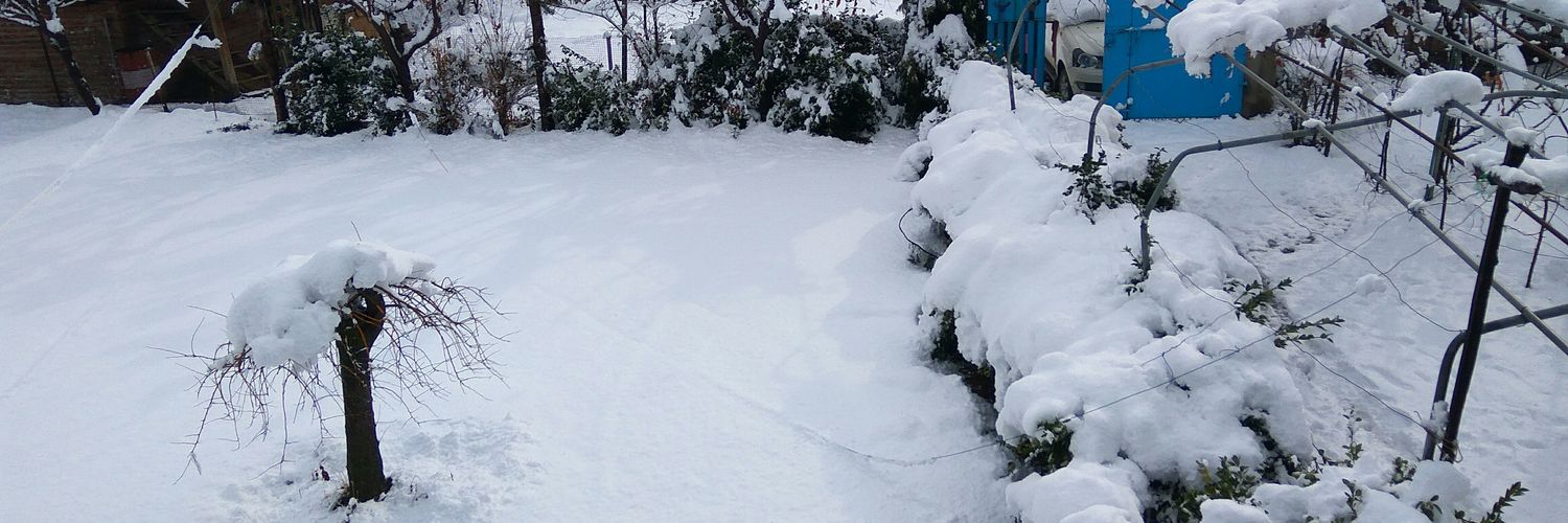 imuzaamil's profile banner image