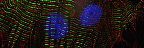 UCSD_CardioLabs Profile Banner