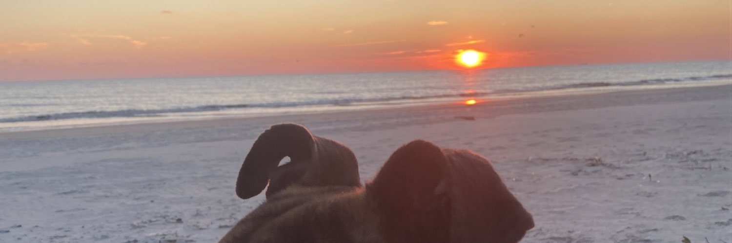J_Watkinss's profile banner image