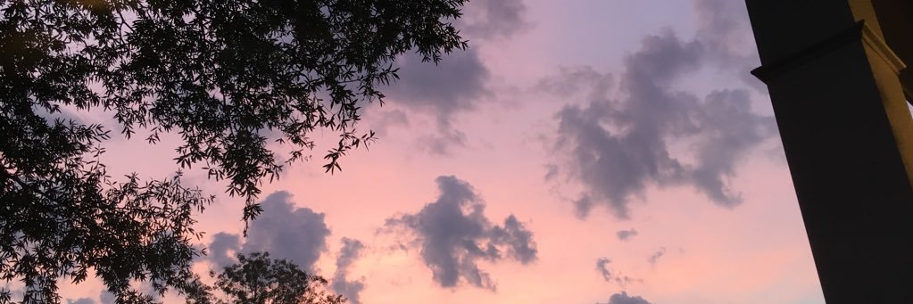 charlotteallen0's profile banner image