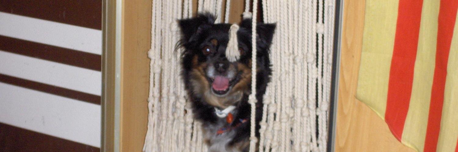 Anna Mª Busom banner