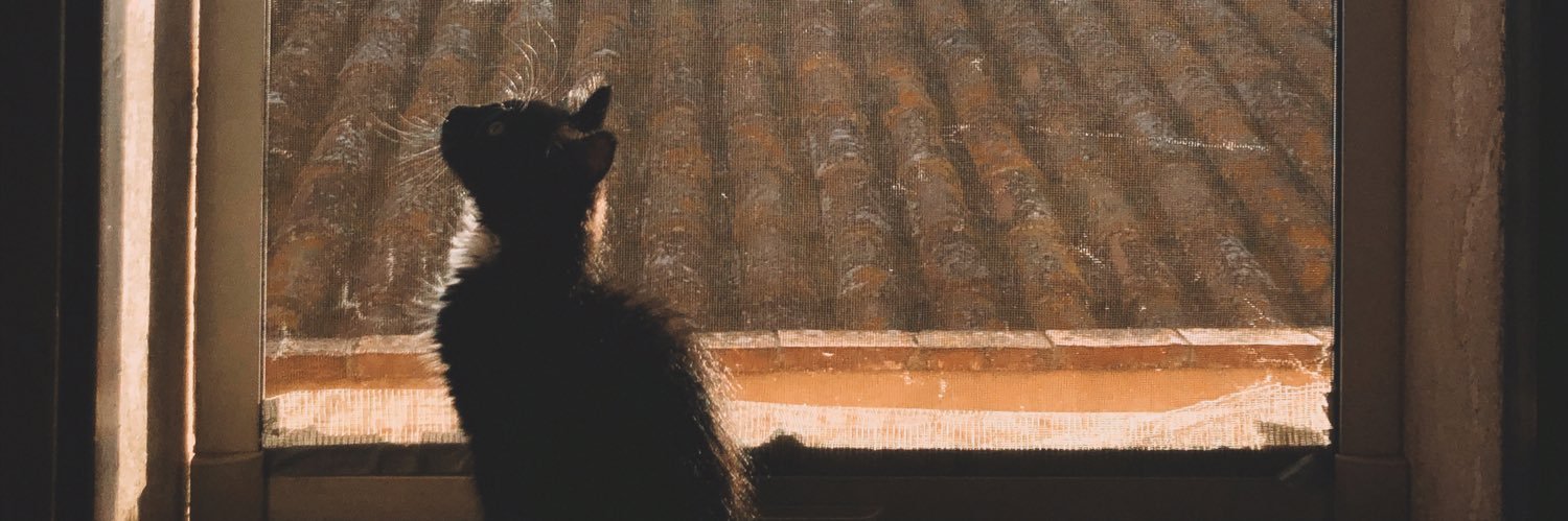ainoamarinn's profile banner image