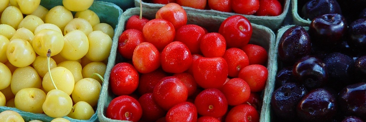 Vegannoying's profile banner image