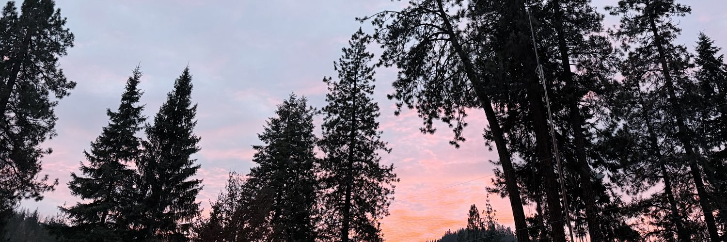 sauerjaz's profile banner image