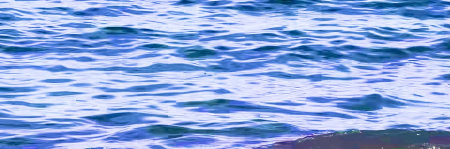 Rosamund57's profile banner image