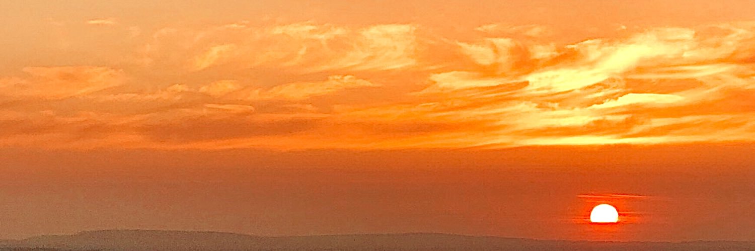 _harrietroberts's profile banner image