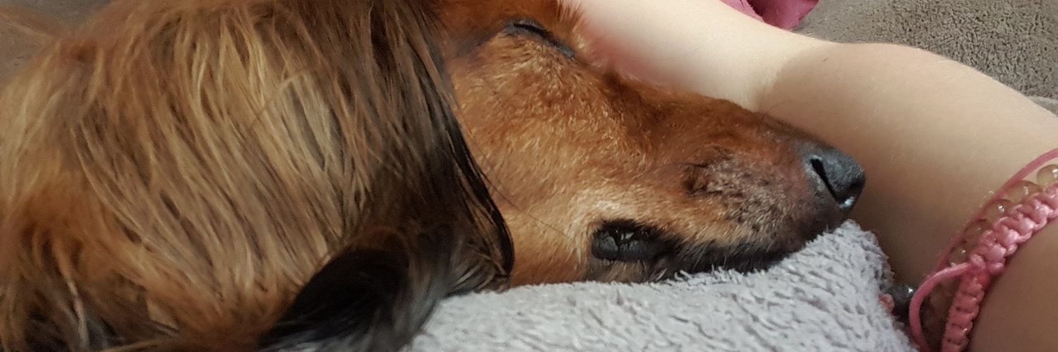 Rodette_Scott's profile banner image