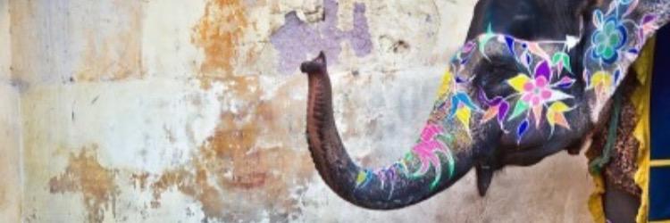 sumaih_4's profile banner image
