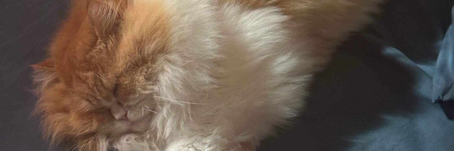 aifaaaaaa_'s profile banner image