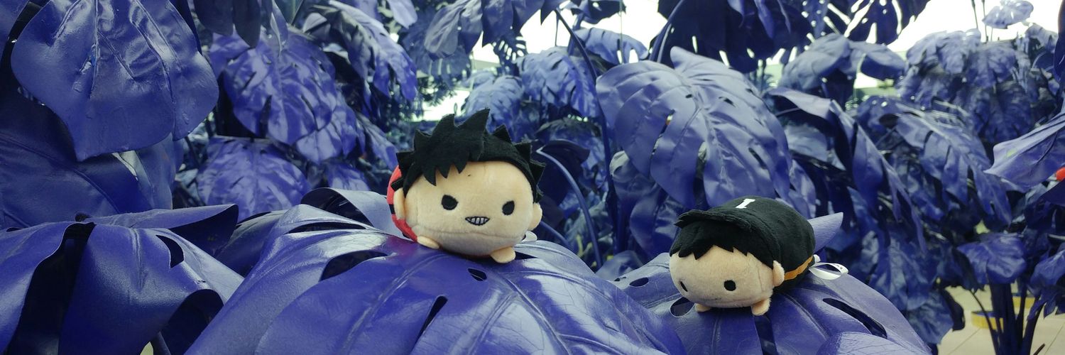 2dchurum's profile banner image