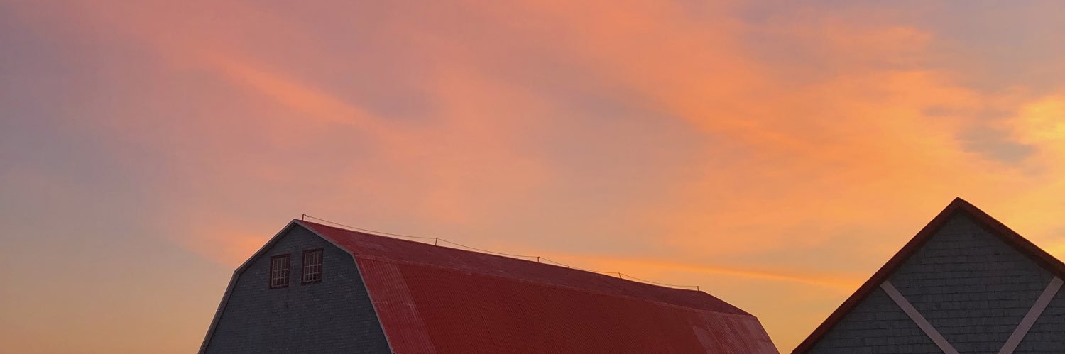 closanshache's profile banner image