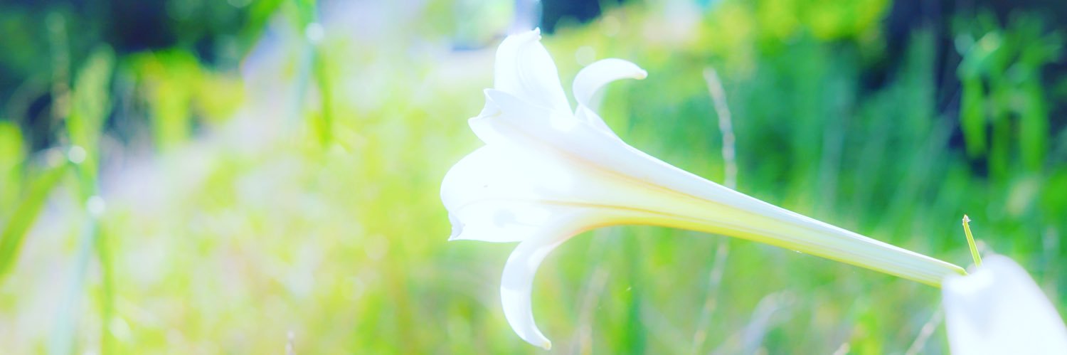 cx22tzi's profile banner image