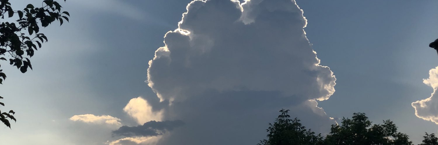 NickZych's profile banner image