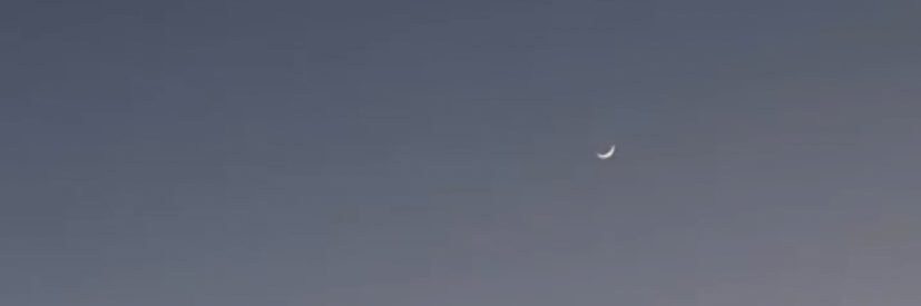 paaulapuga's profile banner image