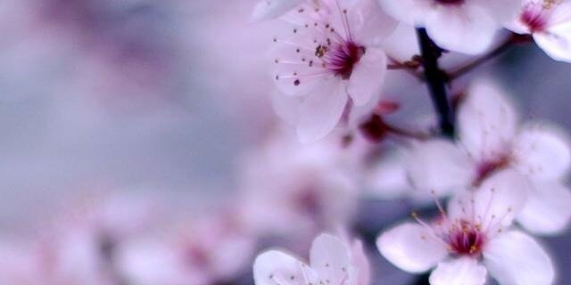 Zineb El Hammoumia banner