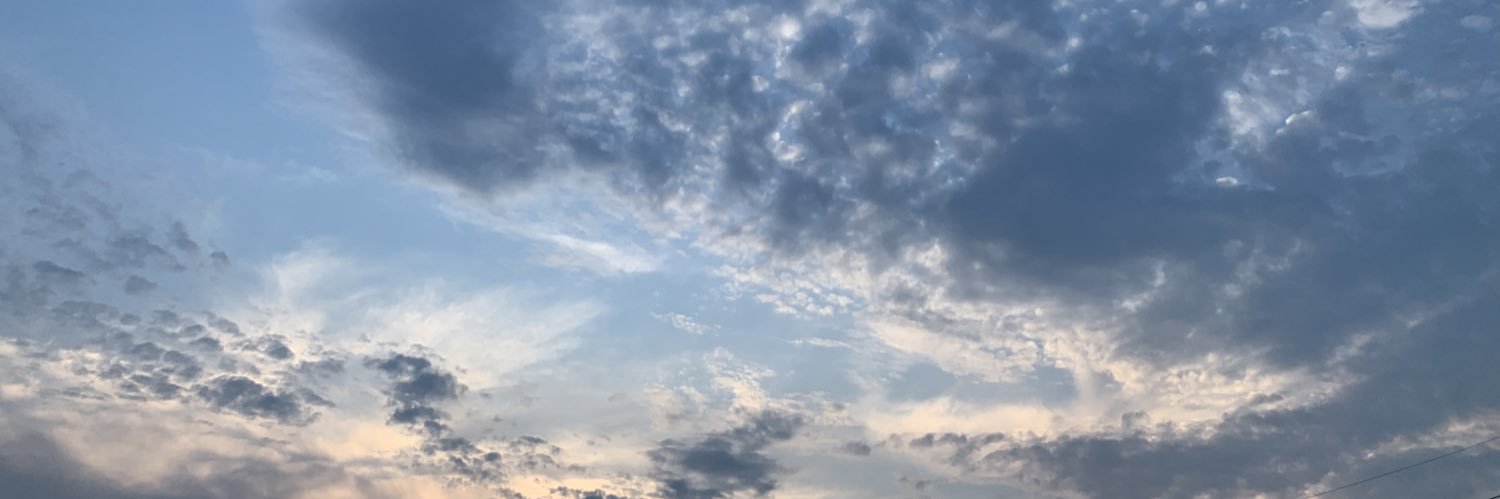 Skymint-kei-535 banner