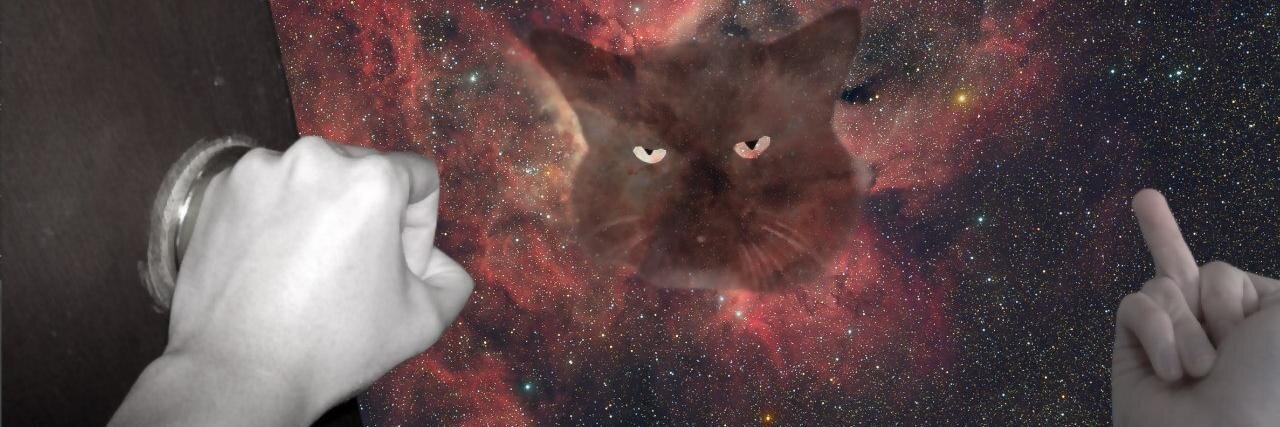 chehosh's profile banner image